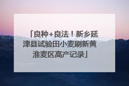 良种+良法！新乡延津县试验田小麦刷新黄淮麦区高产记录