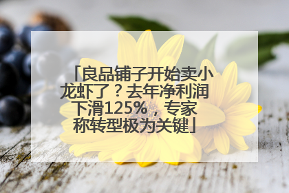 良品铺子开始卖小龙虾了？去年净利润下滑125%，专家称转型极为关键