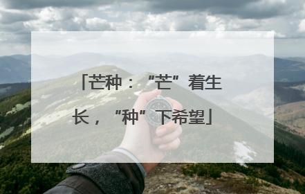 芒种：“芒”着生长，“种”下希望