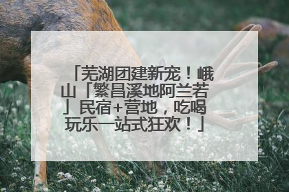 芜湖团建新宠！峨山「繁昌溪地阿兰若」民宿+营地，吃喝玩乐一站式狂欢！
