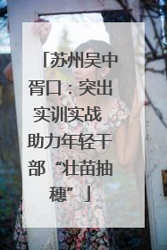 苏州吴中胥口：突出实训实战 助力年轻干部“壮苗抽穗”