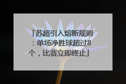 苏超引入熔断规则：单场净胜球超过8个，比赛立即终止