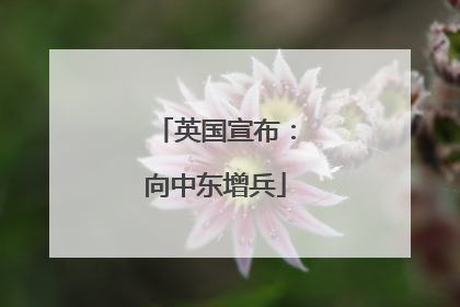英国宣布：向中东增兵