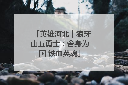 英雄河北｜狼牙山五勇士：舍身为国 铁血英魂