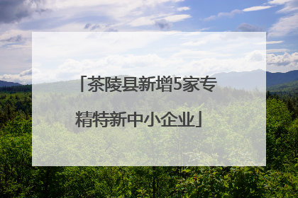 茶陵县新增5家专精特新中小企业