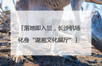 落地即入景，长沙机场化身“湖湘文化展厅”