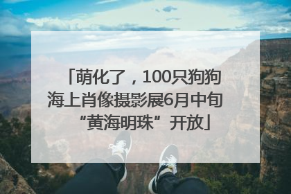 萌化了，100只狗狗海上肖像摄影展6月中旬“黄海明珠”开放