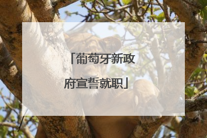 葡萄牙新政府宣誓就职