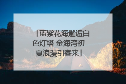 蓝紫花海邂逅白色灯塔 金海湾初夏浪漫引客来
