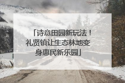 诗意田园新玩法！礼贤镇让生态林地变身惠民新乐园