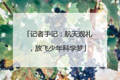 记者手记：航天观礼，放飞少年科学梦