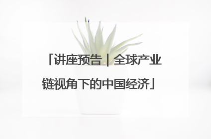 讲座预告｜全球产业链视角下的中国经济