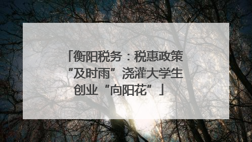 衡阳税务：税惠政策“及时雨”浇灌大学生创业“向阳花”