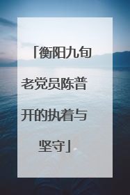 衡阳九旬老党员陈普开的执着与坚守