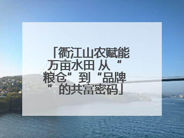 衢江山农赋能万亩水田 从“粮仓”到“品牌”的共富密码