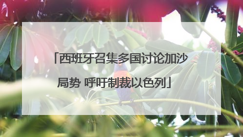 西班牙召集多国讨论加沙局势 呼吁制裁以色列