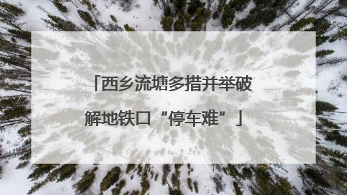西乡流塘多措并举破解地铁口“停车难”