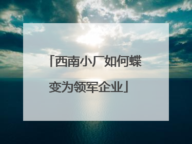 西南小厂如何蝶变为领军企业
