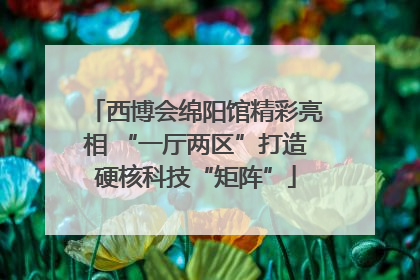 西博会绵阳馆精彩亮相 “一厅两区”打造硬核科技“矩阵”