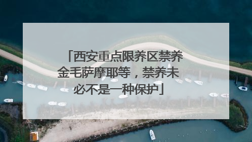 西安重点限养区禁养金毛萨摩耶等，禁养未必不是一种保护