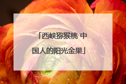 西峡猕猴桃 中国人的阳光金果