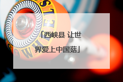 西峡县 让世界爱上中国菇