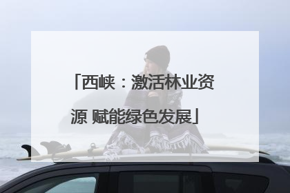 西峡：激活林业资源 赋能绿色发展