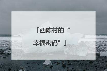 西陈村的“幸福密码”