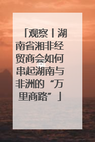 观察丨湖南省湘非经贸商会如何串起湖南与非洲的“万里商路”