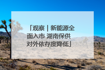 观察｜新能源全面入市 湖南保供对外依存度降低