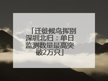 迁徙候鸟挥别深圳北归：单日监测数量最高突破2万只