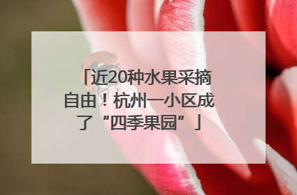 近20种水果采摘自由！杭州一小区成了“四季果园”