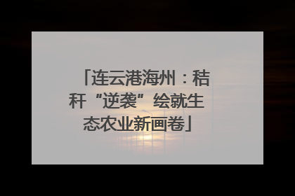 连云港海州：秸秆“逆袭”绘就生态农业新画卷