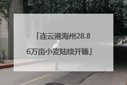 连云港海州28.86万亩小麦陆续开镰