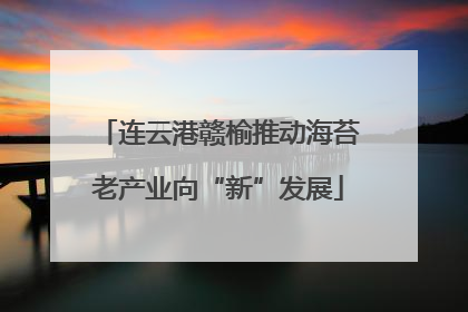 连云港赣榆推动海苔老产业向“新”发展