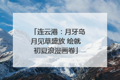 连云港：月牙岛月见草盛放 绘就初夏浪漫画卷
