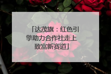 达茂旗：红色引擎助力合作社走上致富新赛道