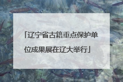 辽宁省古籍重点保护单位成果展在辽大举行