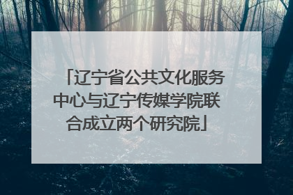 辽宁省公共文化服务中心与辽宁传媒学院联合成立两个研究院