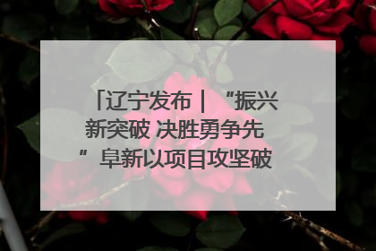 辽宁发布｜“振兴新突破 决胜勇争先”阜新以项目攻坚破解发展瓶颈 经济发展实现良好开局