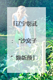 辽宁彰武：“沙窝子”焕新颜