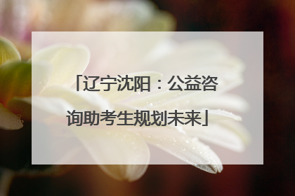 辽宁沈阳：公益咨询助考生规划未来