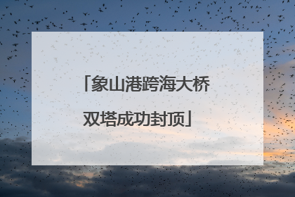象山港跨海大桥双塔成功封顶