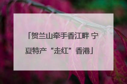 贺兰山牵手香江畔 宁夏特产“走红”香港