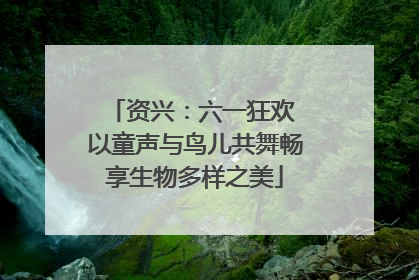 资兴：六一狂欢 以童声与鸟儿共舞畅享生物多样之美