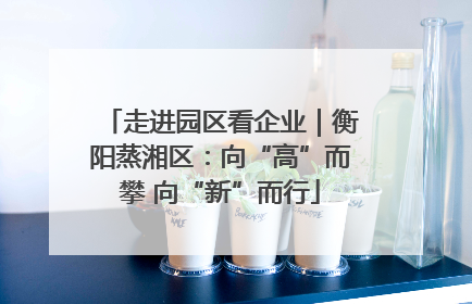 走进园区看企业｜衡阳蒸湘区：向“高”而攀 向“新”而行