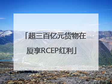 超三百亿元货物在厦享RCEP红利