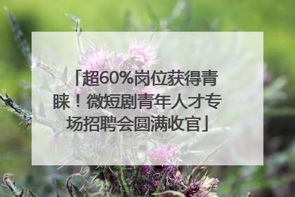 超60%岗位获得青睐！微短剧青年人才专场招聘会圆满收官