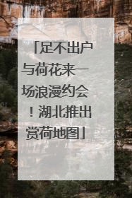 足不出户与荷花来一场浪漫约会！湖北推出赏荷地图