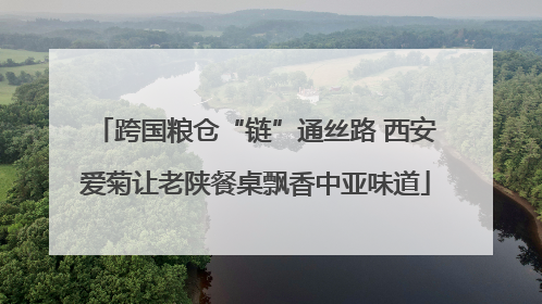 跨国粮仓“链”通丝路 西安爱菊让老陕餐桌飘香中亚味道